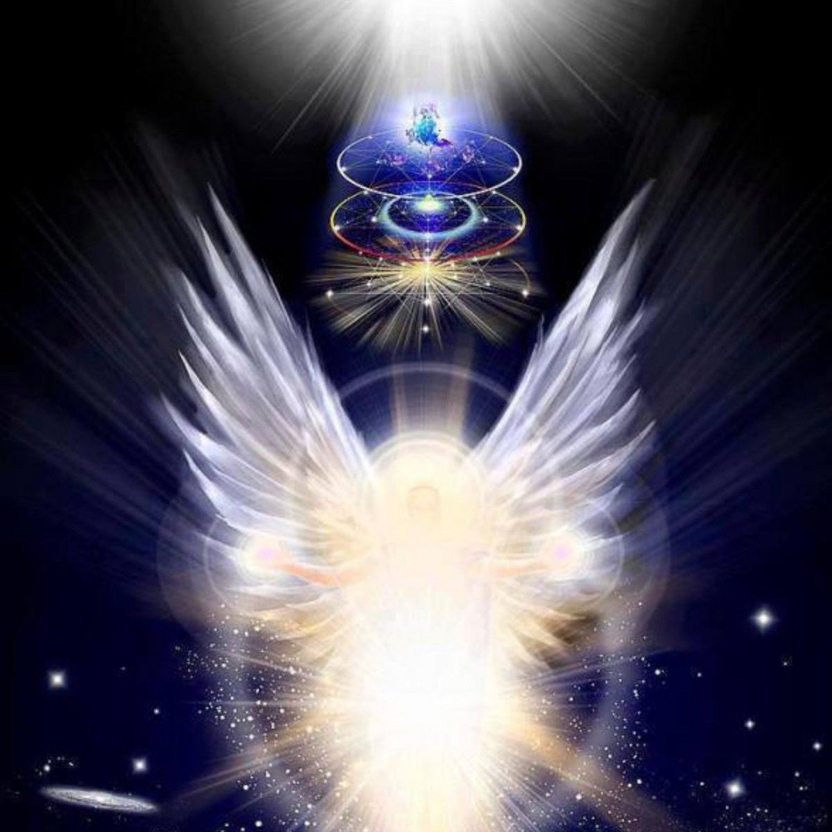 Карьерный План - Система акад. Миание М.Ю.